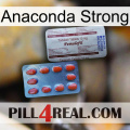 Anaconda Strong 36